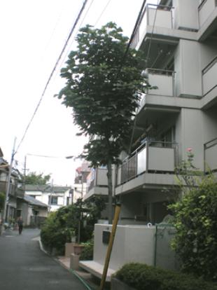 コーポ小山