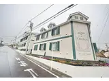 オーキッド