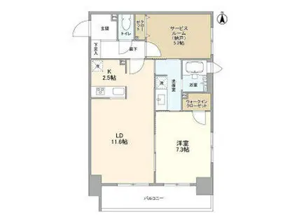 アリュージュ両国(1SLDK/11階)の間取り写真