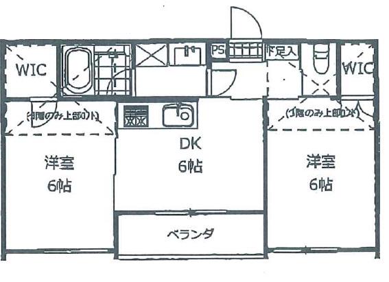ルネ・丸美IV