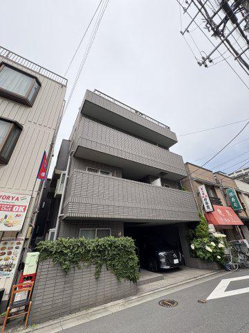 カクタス