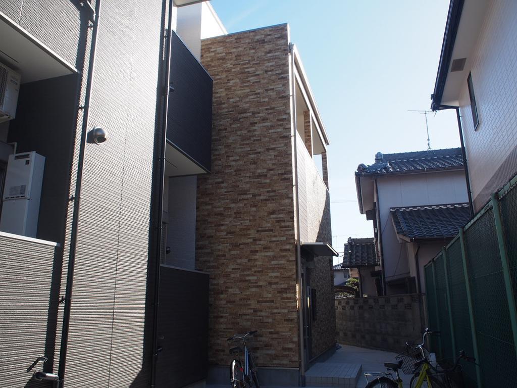 成叶セイカ