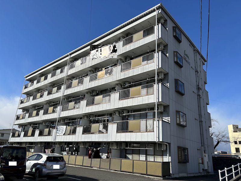 LIMPIA ORILLA野口