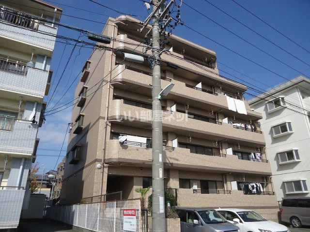 エレガンスマインIII