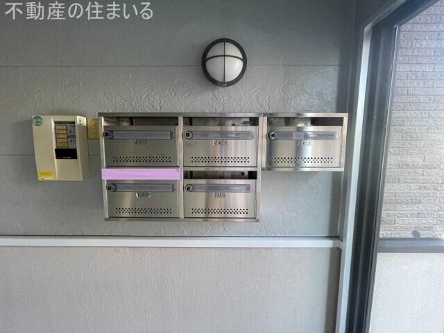 アムールアドニス