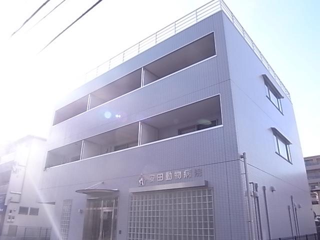 シュシュ甲子園