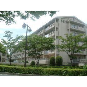 小松川五番館1号棟
