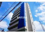 PAULOWNIA VALLEY TAKE8 東神奈川