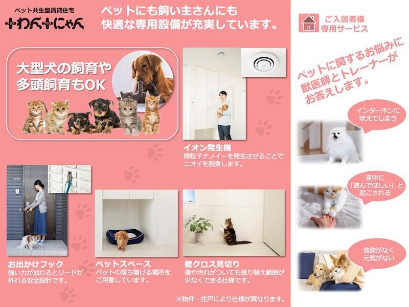 メゾン コンフォート