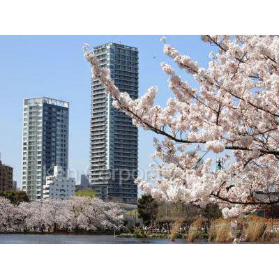ルネッサンスタワー上野池之端