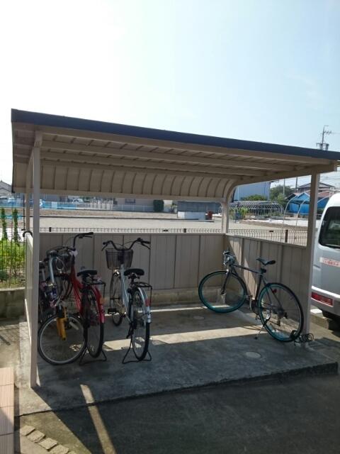 プリムローズトモ B