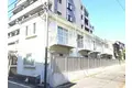 ブロードビーン