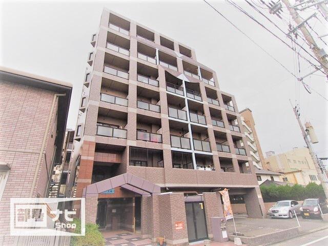 ペスカデリア大楠