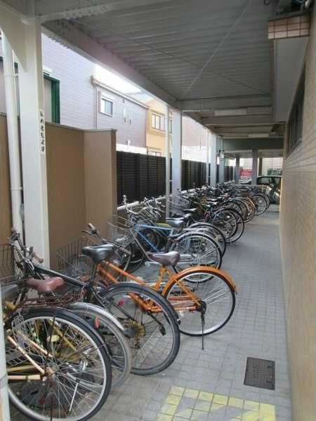 サンピアオカヤス