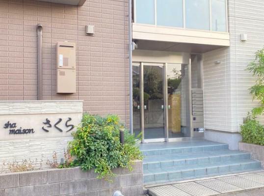 SHAMAISONさくら