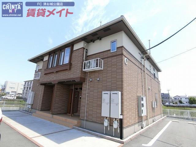 サン パインテイルC
