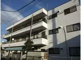 ドリームハイツ