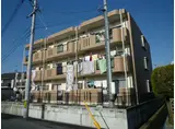アンティム