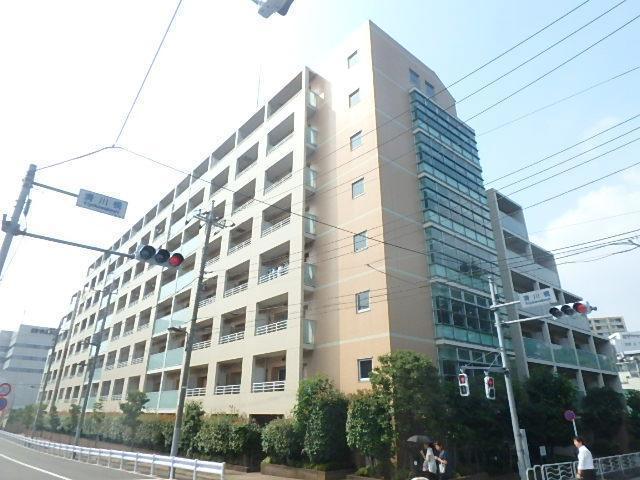 WILLDO清澄