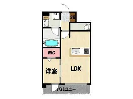 グランフォーレ博多マークプレイス(1LDK/12階)の間取り写真