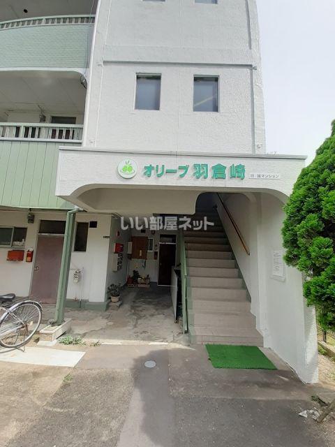 オリーブ羽倉崎