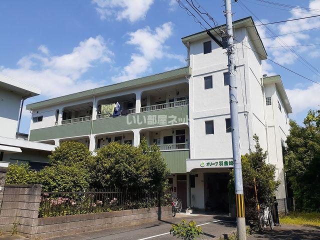 オリーブ羽倉崎