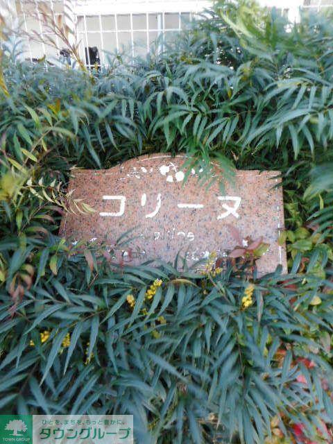 コリーヌ