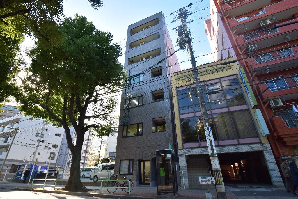 シェルコート金山