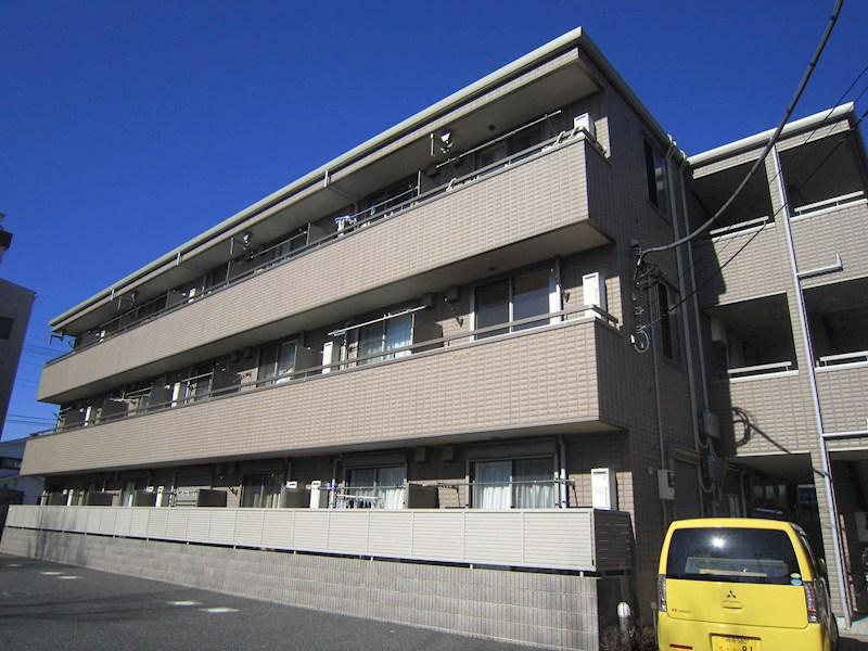 湘南コスモス