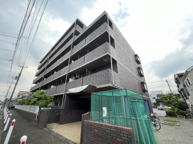 ポーロウニア千代田