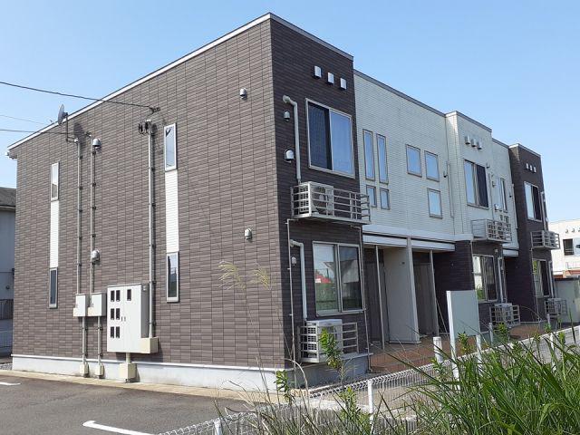 フェリチタ10