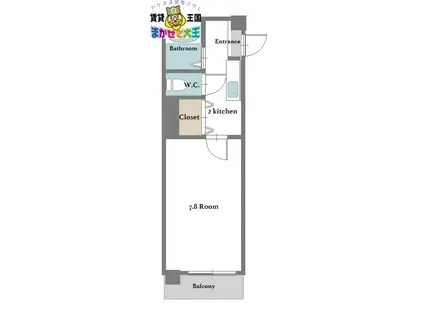 丸山ベルリネッタ(1K/2階)の間取り写真