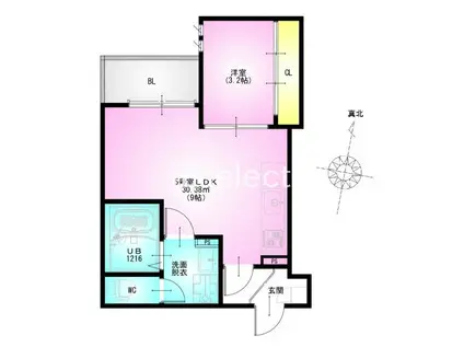 REGALEST 祐光(1LDK/1階)の間取り写真