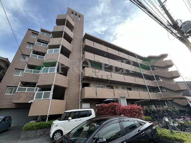 ノースフライト