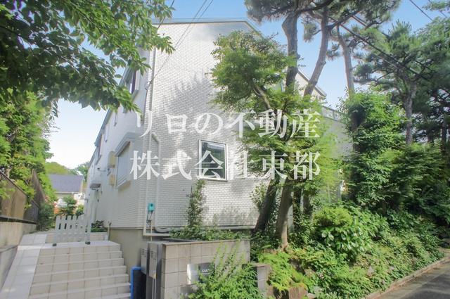 ステラマリス
