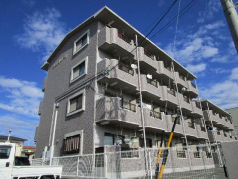 ラピスリーオ