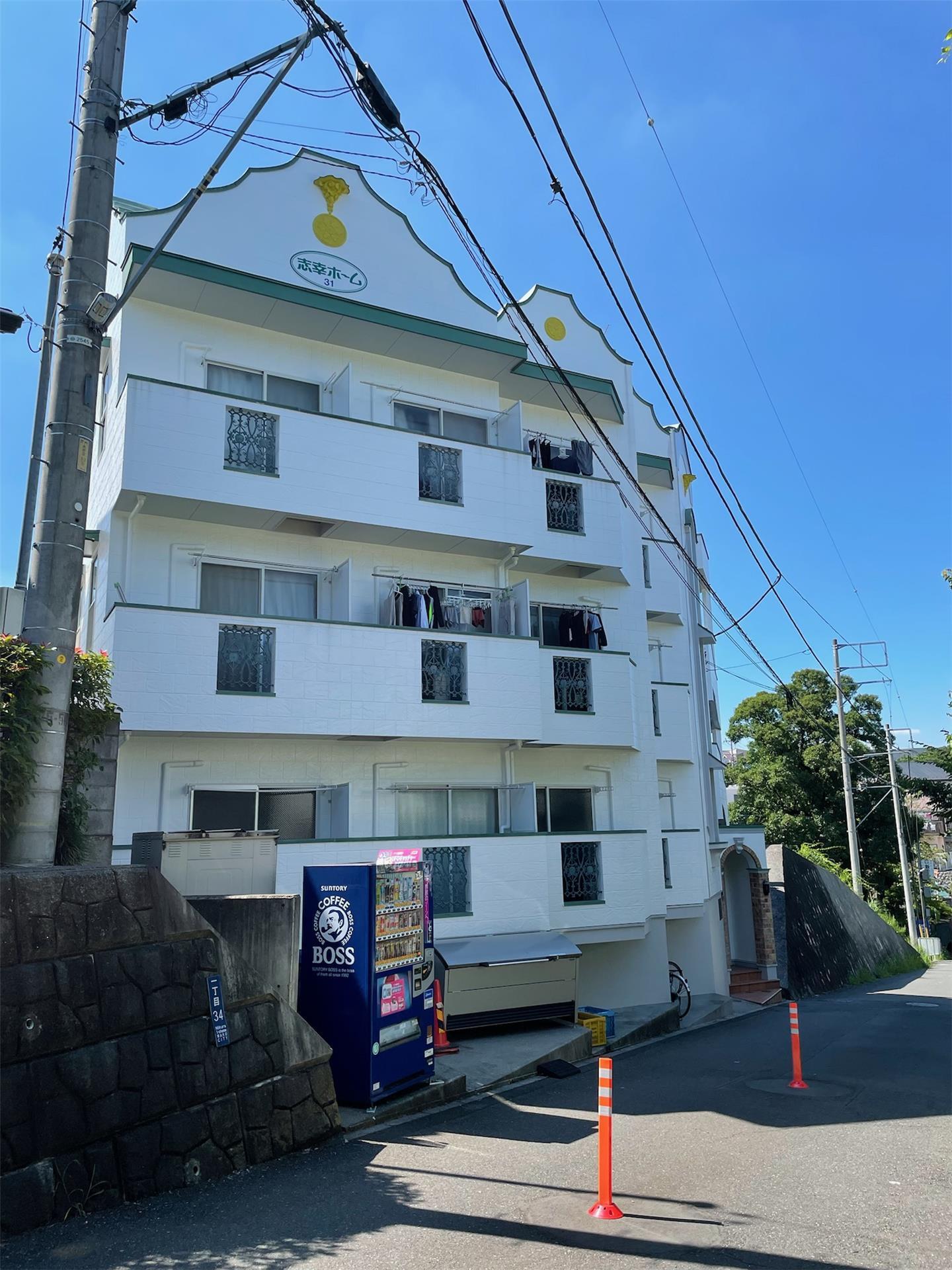 志幸31アンノン