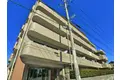 ハナミズキ宮園