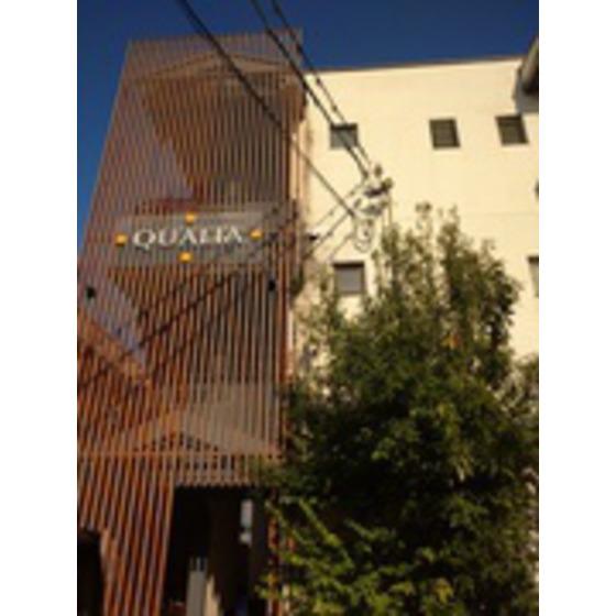 QUALIA