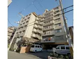 ラフィーネ鶴丸