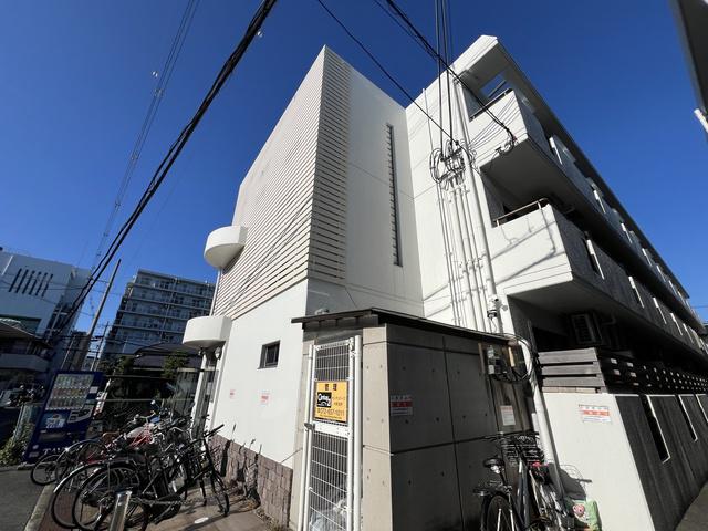 シロハイヌ