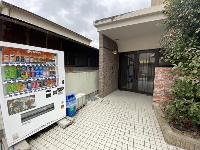 プラシド七瀬川
