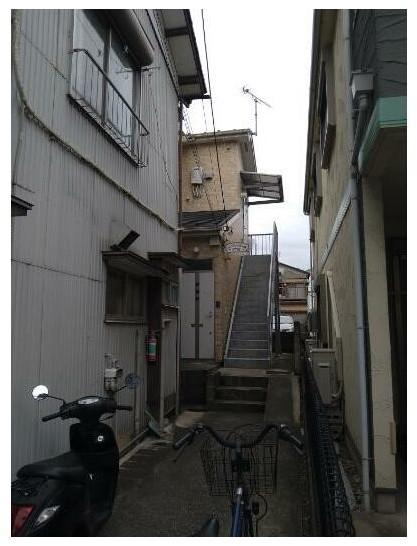 シュノンソウ