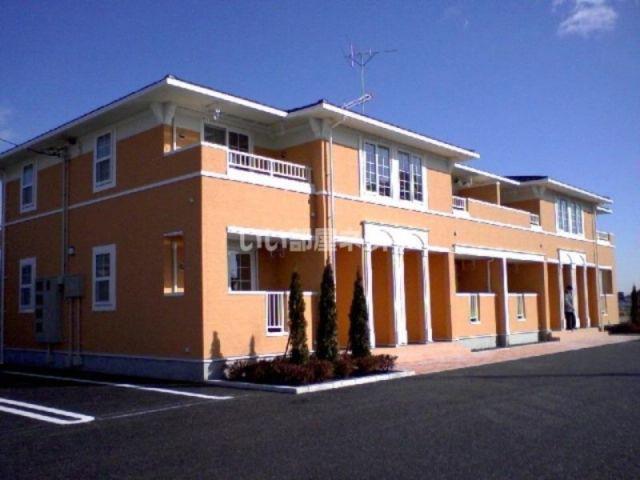 ブルック石川