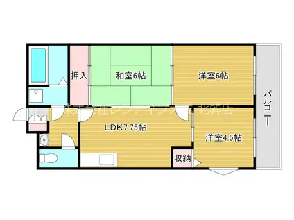 カーサ・ソレステ(3LDK/5階)の間取り写真