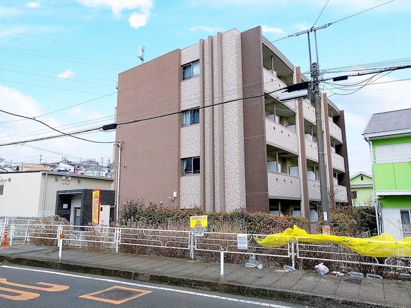セレスティアル アスカ