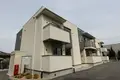 プラシード