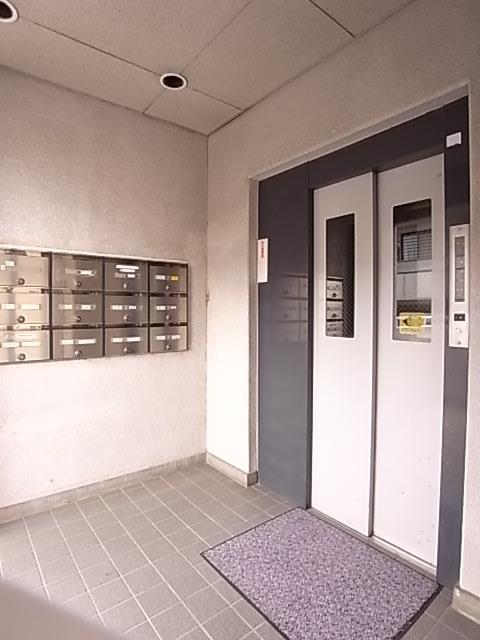 コートスミュー