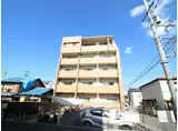 さくら天の川