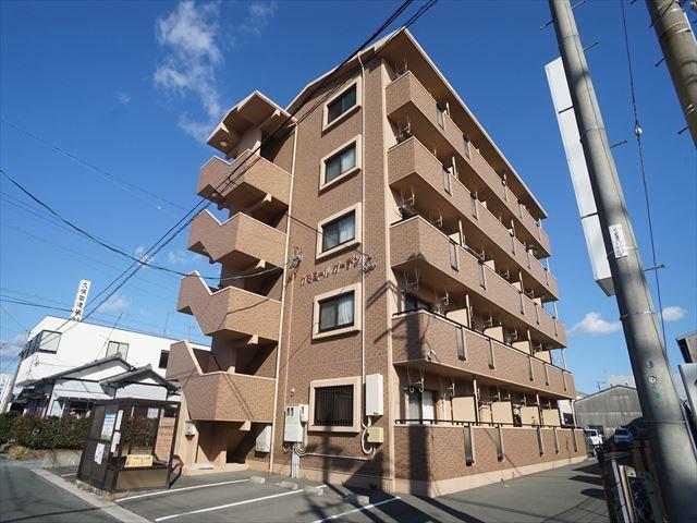 カモミールガーデン